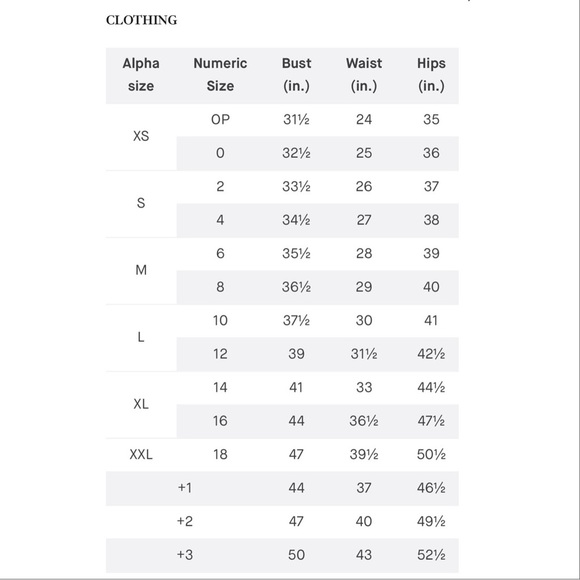 MM Lafleur ‘The Greenpoint Skirt’ in “Russett” Taupe Size +1 = 1X - Picture 11 of 16